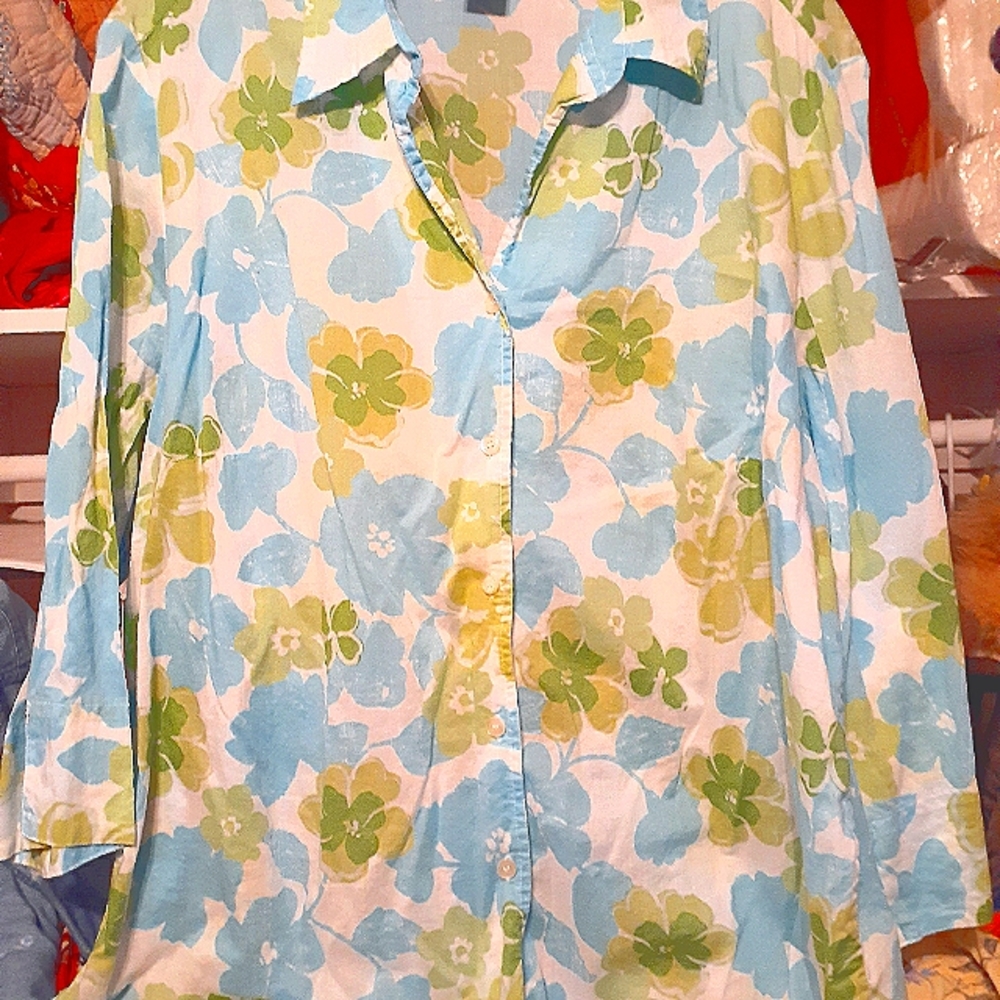 Soft Fresh color blouse button up Charter Club Woman size 20W.